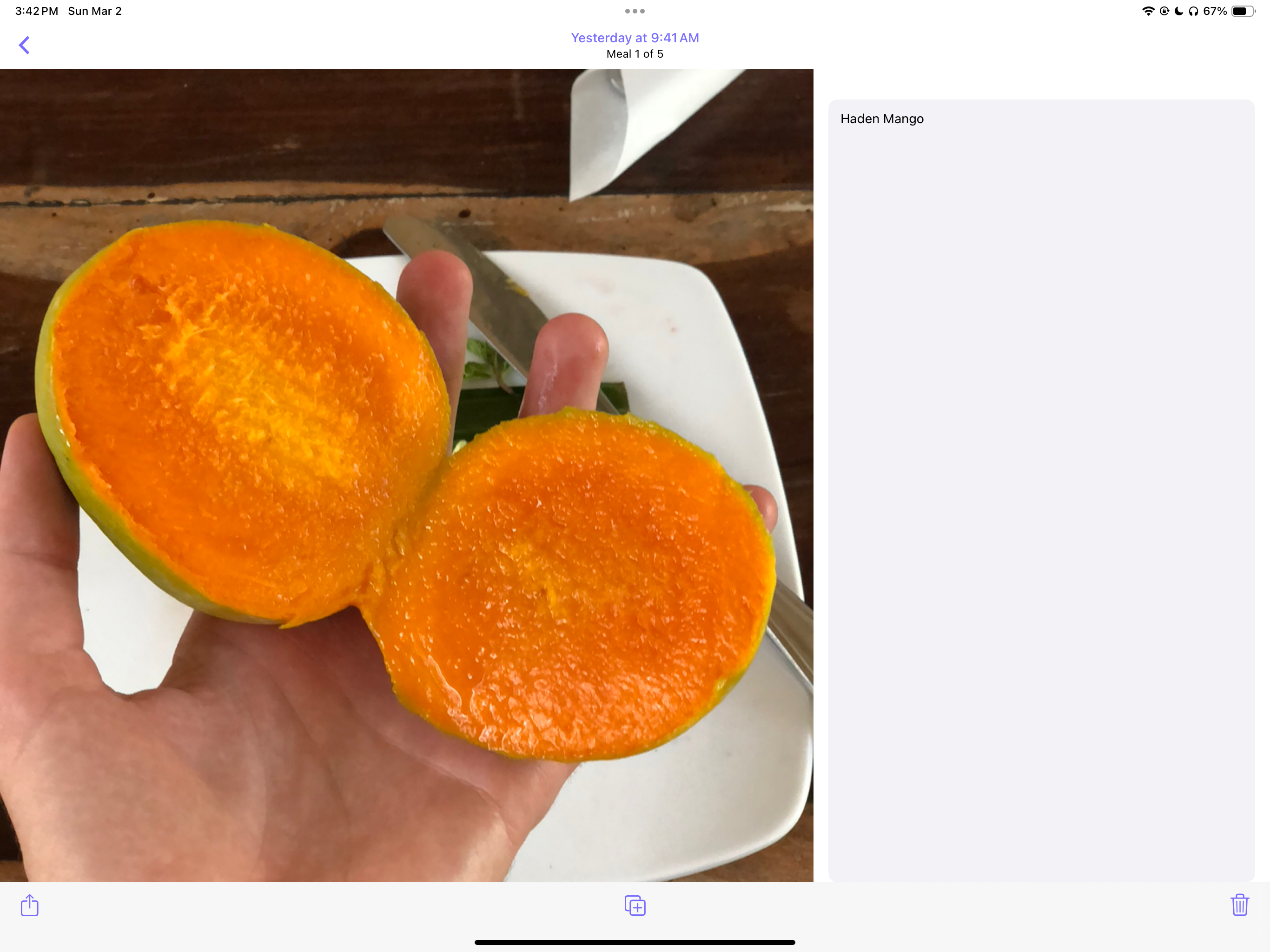 MealCam screenshot 10