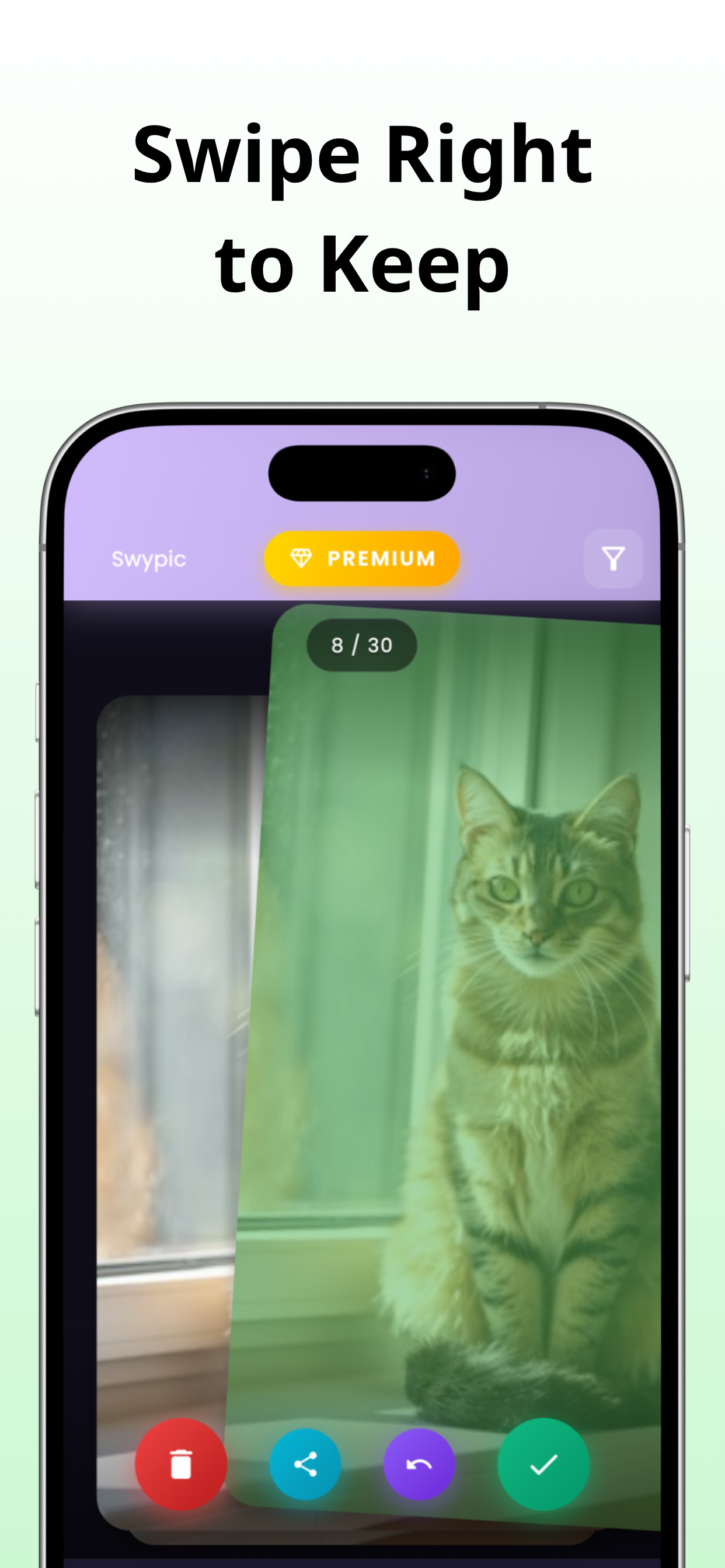 Photo Cleaner: Swypic screenshot 2