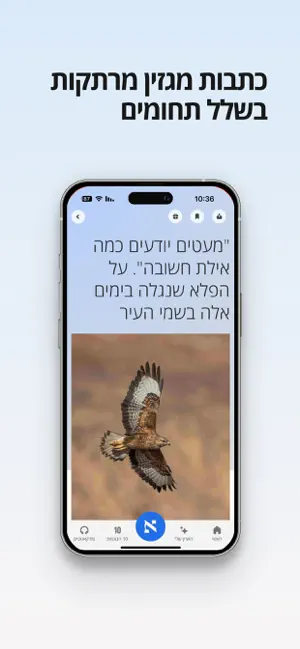 הארץ - חדשות | Haaretz screenshot 3