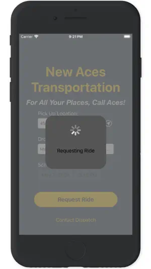 New Aces Transportation screenshot 2