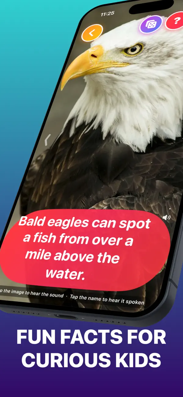 Animal Sounds learning feature screen