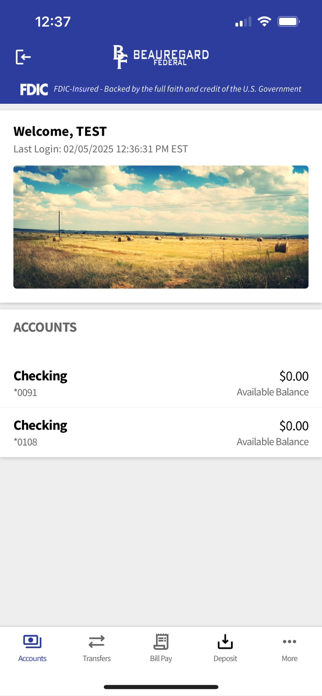 BFSB Mobile Screenshot 1 of 5
