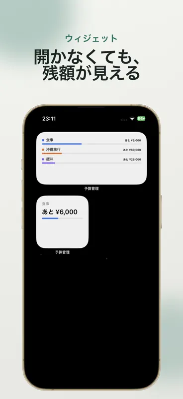 予算管理 - 使えるお金がすぐわかる家計簿 screenshot 3 of 3