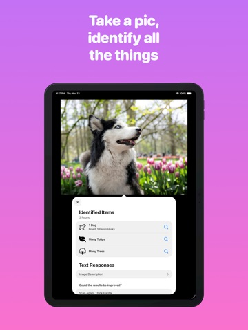 Visual IQ: Image Intelligence+ iPad screenshot