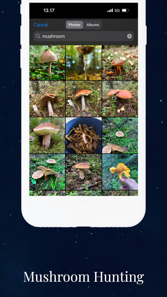 #6. PicNav (iOS) Podle: GinnyPix