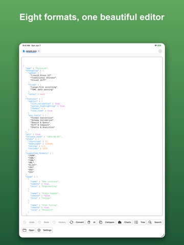 ParseLab iPad screenshot