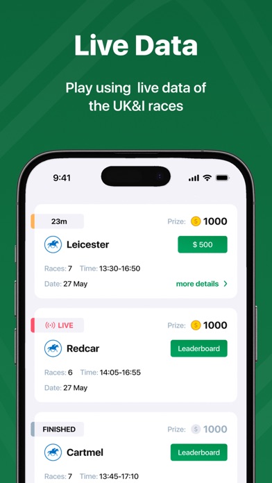 Fantasy Horse Race Screenshot