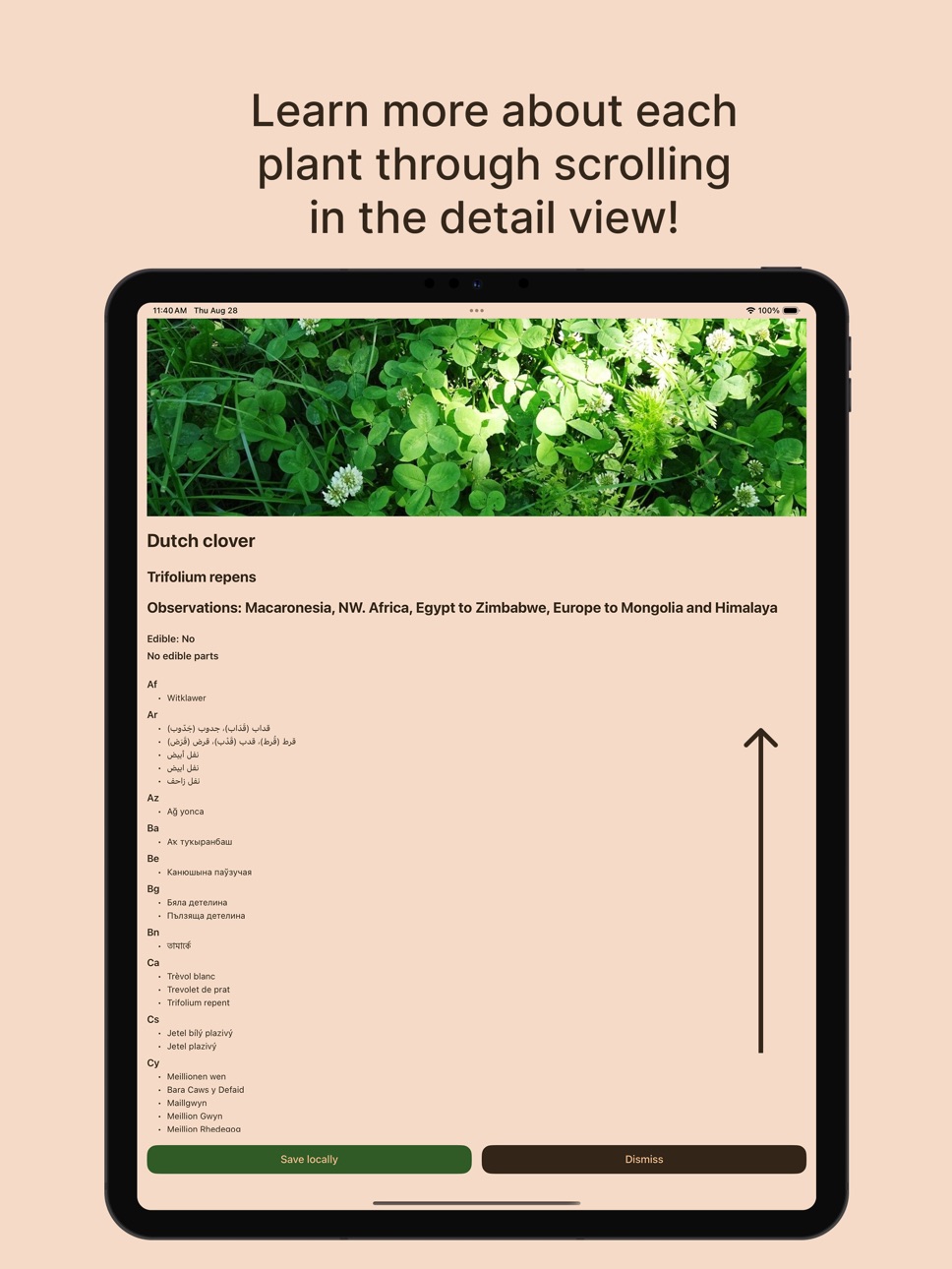 iPad screenshot