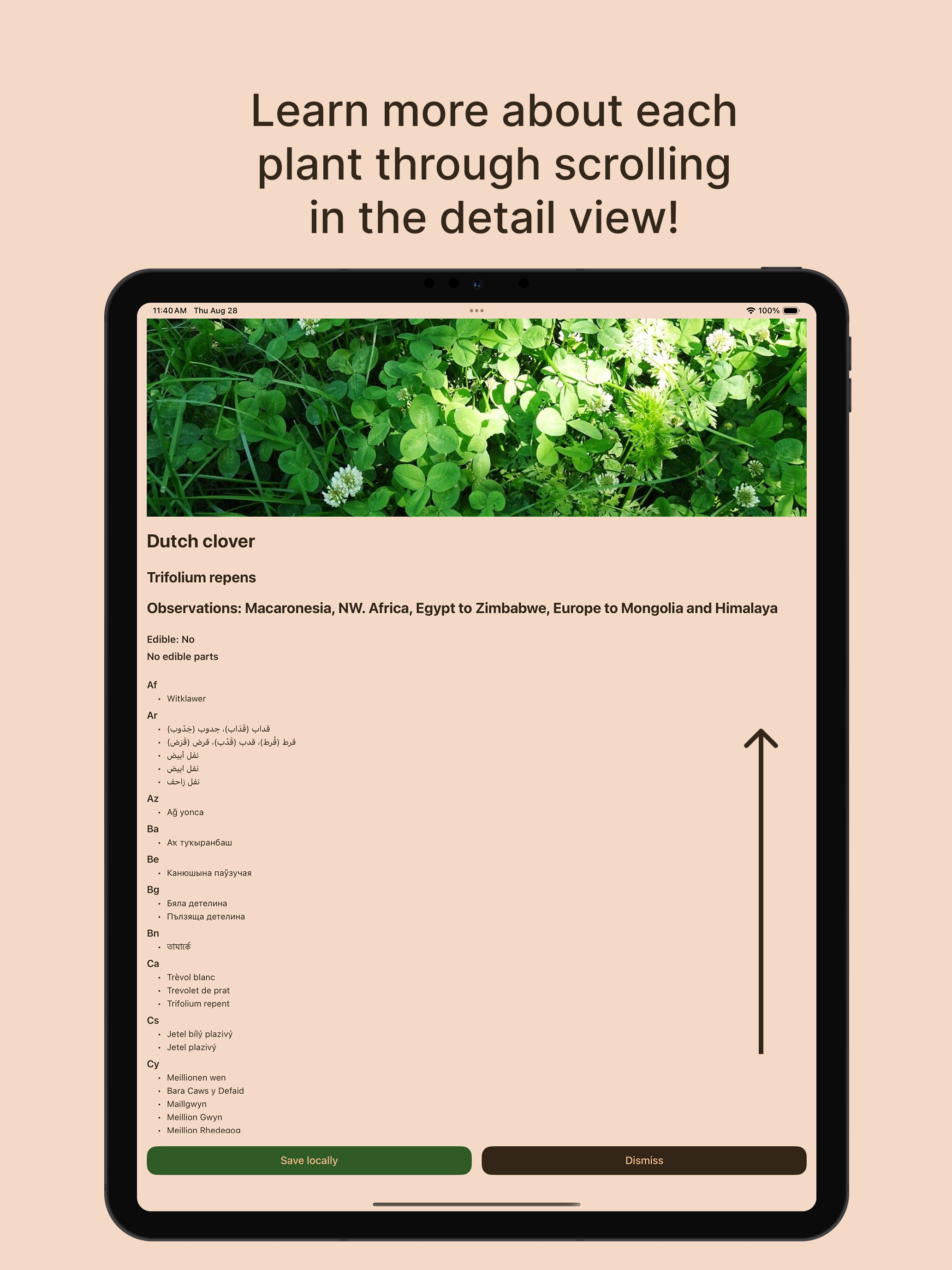 Sprout - Plant Encyclopedia
