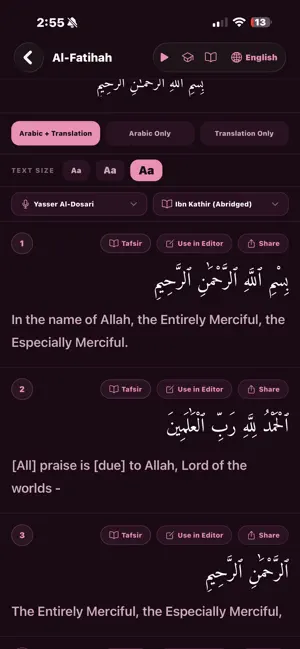 Ayah Canvas screenshot 3