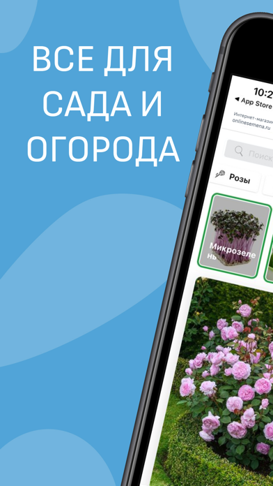 Onlinesemena Screenshot