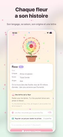 Flosome 4