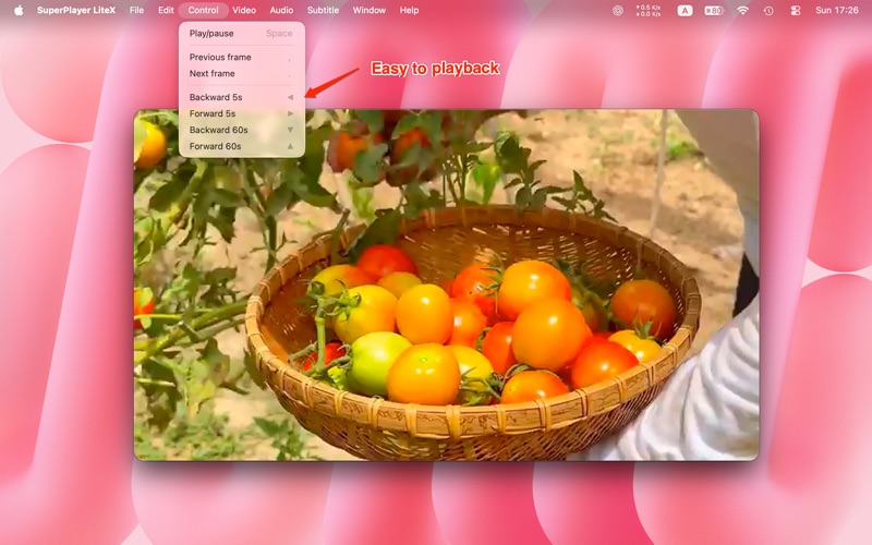 Screenshot #3 pour SuperPlayer LiteX