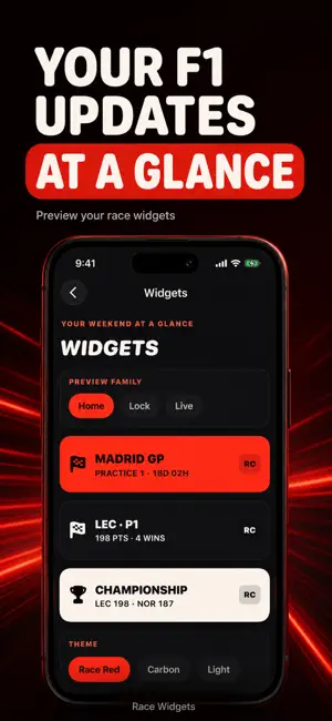 Race Widgets for F1 screenshot 2