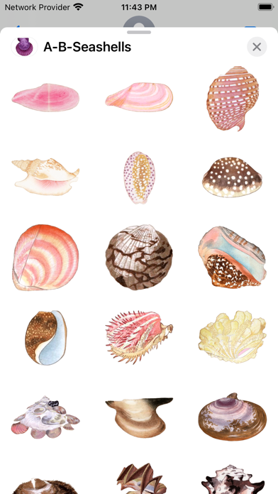Screenshot #2 pour A-B-Seashells