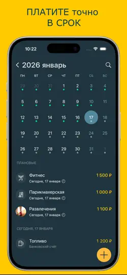 Скриншот Money Pro на iPhone 6
