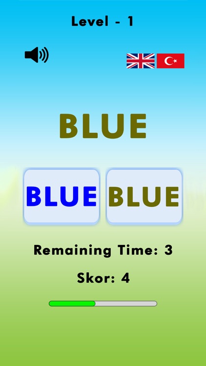 Guess the Correct Color