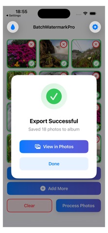 Batch Watermark Pro Screenshot 4 of 5