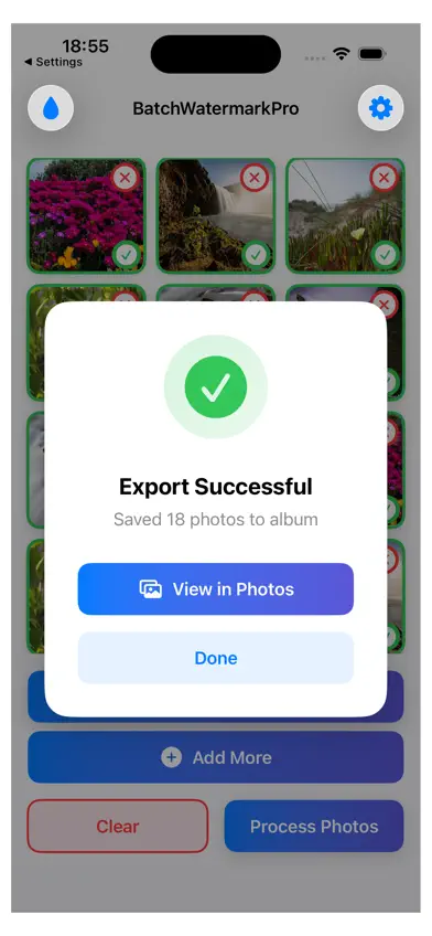 Batch Watermark Pro screenshot 4