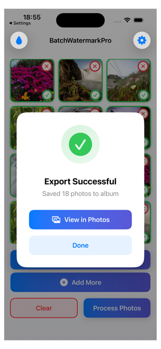 Batch Watermark Pro Screenshot 4 of 5