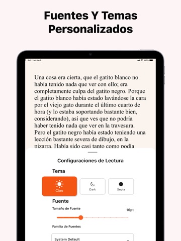 Lector y Abridor de ePub iPad screenshot 2