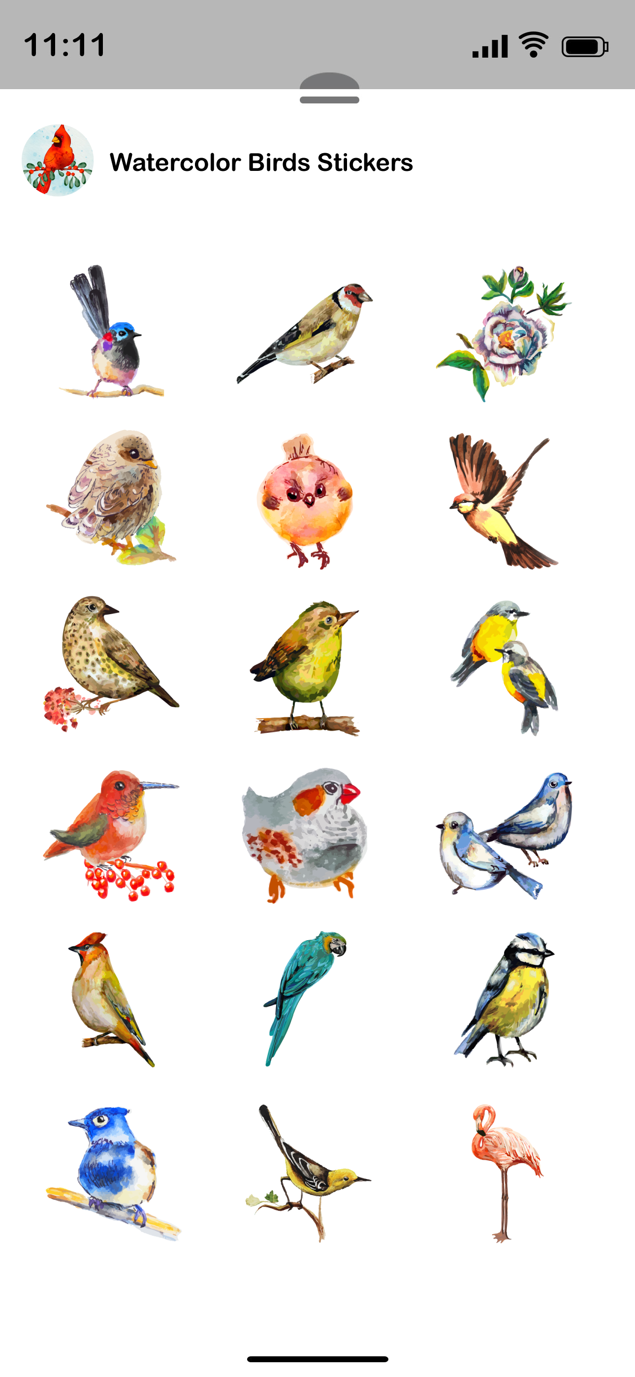 Watercolor Birds Stickers screenshot 4