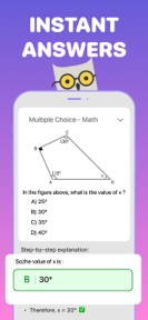 Socratic Homework AI screenshot