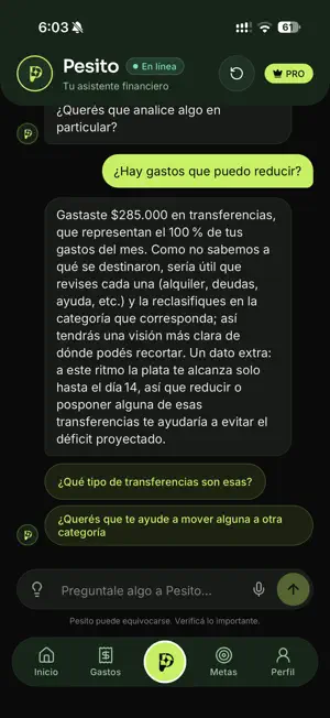 Pesito IA: gastos y ahorro screenshot 2