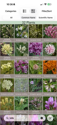 Minnesota Wildflowers Info. screenshot