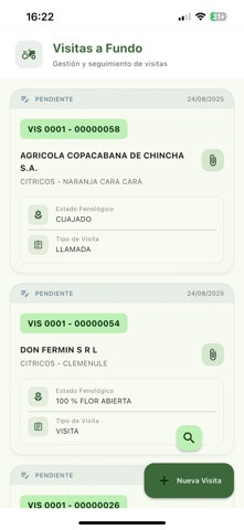 FruCampo screenshot