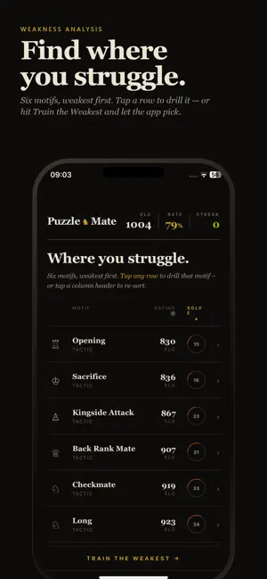 PuzzleMate - Chess Puzzles screenshot 4