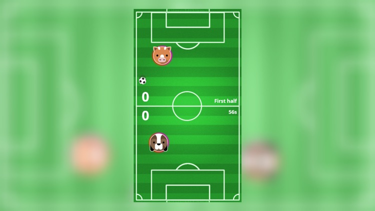 Animal Footbal Match