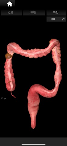 ORGANS 3D (ANATOMY) screenshot