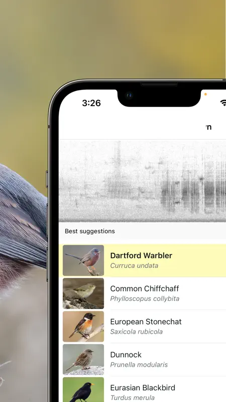 Merlin Bird ID by Cornell Lab screenshot 3 of 8