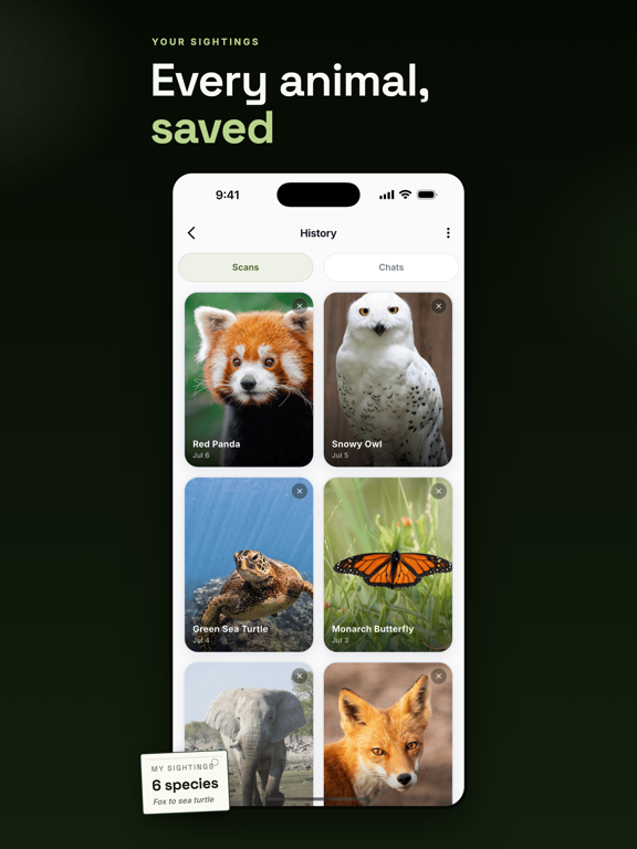 Animal Identifier: Wildlife ID iPad screenshot