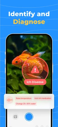OkayFish - Pet Fish Care Guide iPhone Screenshot 2