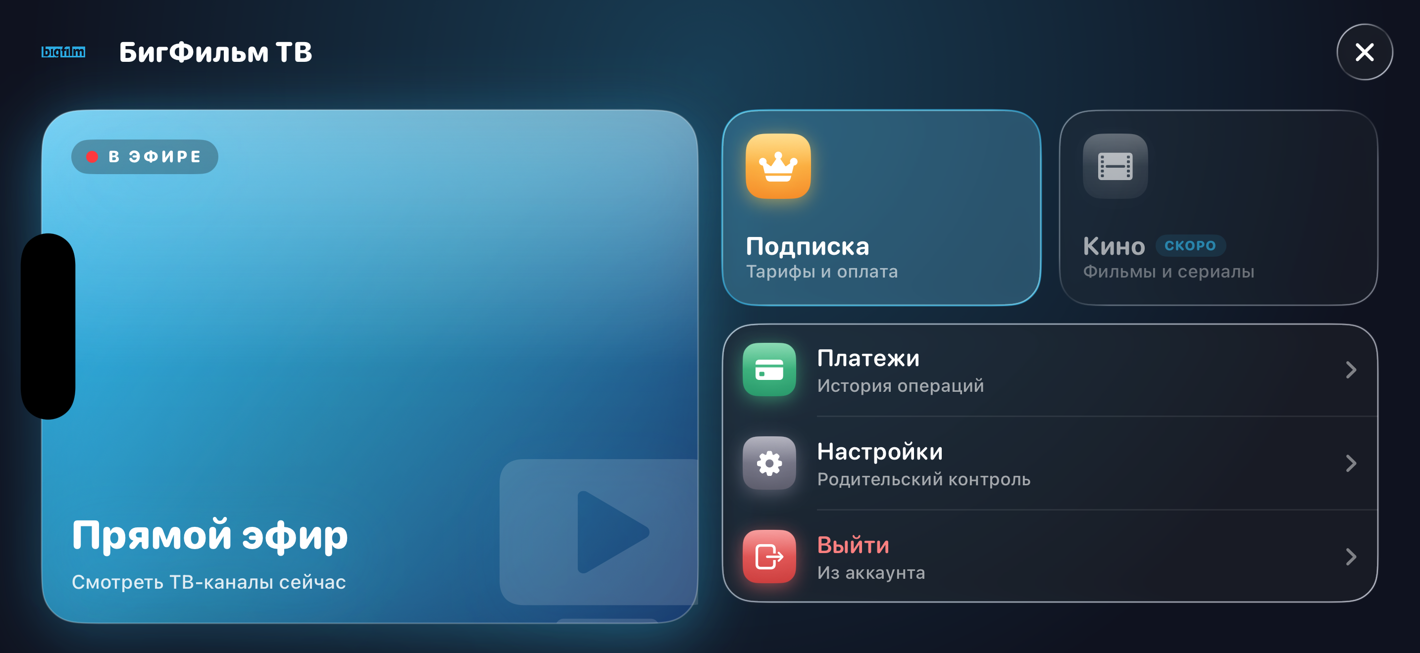 BigFilm TV screenshot 3