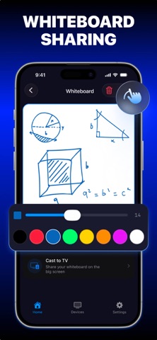 CastScreen Plus screenshot