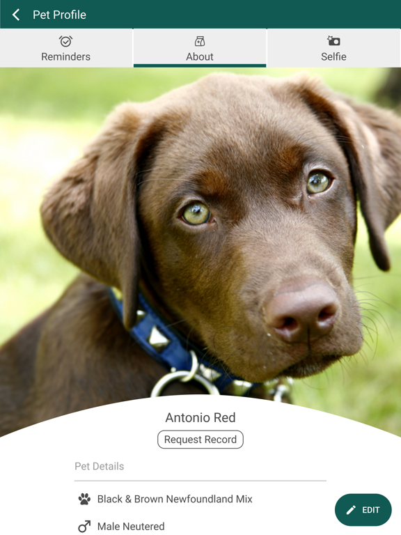 Screenshot #6 pour FLAC Vet