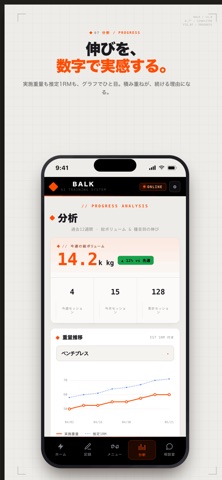 BALK screenshot