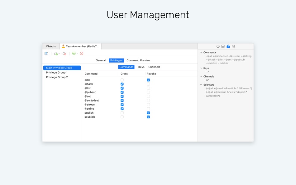#8. Navicat 17 for Redis (macOS) Με: PremiumSoft CyberTech Ltd.
