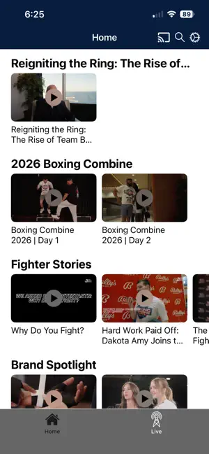 Team Boxing League screenshot 1