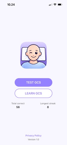 Learn GCS screenshot