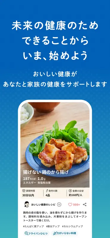 おいしい健康 献立と栄養管理 糖尿病・腎臓病・減塩など screenshot 8 of 8