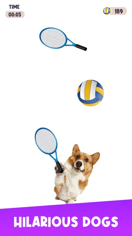 Dog Tennis - Fun Game screenshot-4