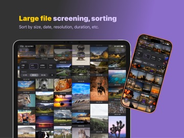 Sorter: Photo Manager Pro ipad screenshot 2