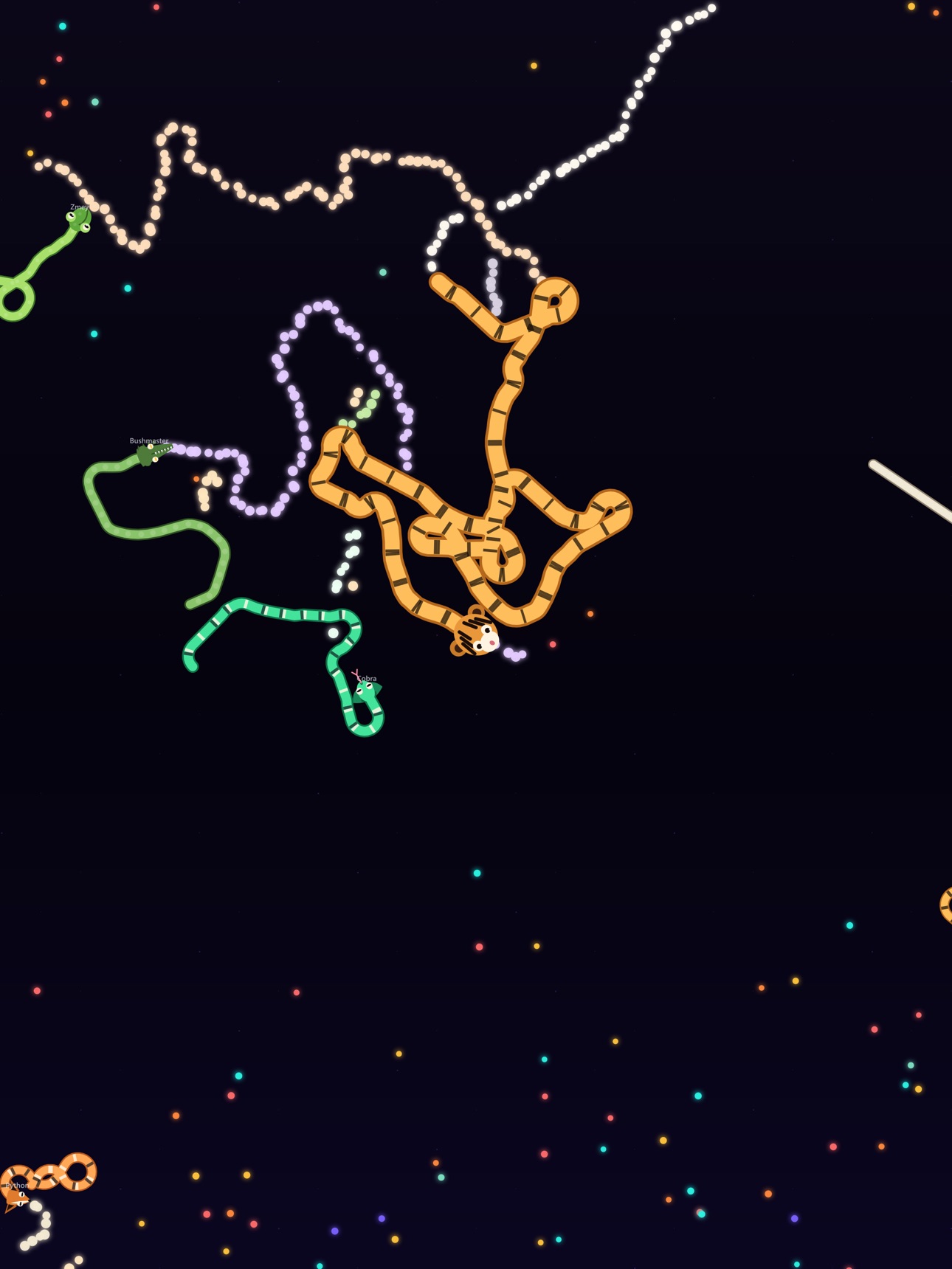 Screenshot 9 of NAGA: Snake Arena