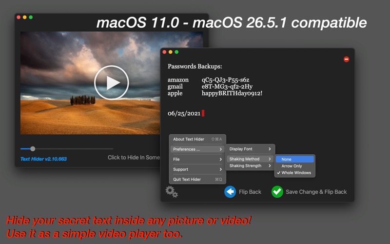 Screenshot #1 pour Text Hider