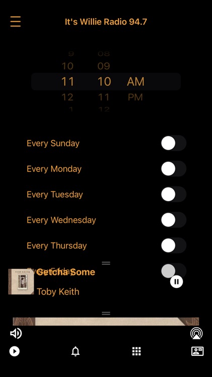 It's Willie Radio screenshot-3