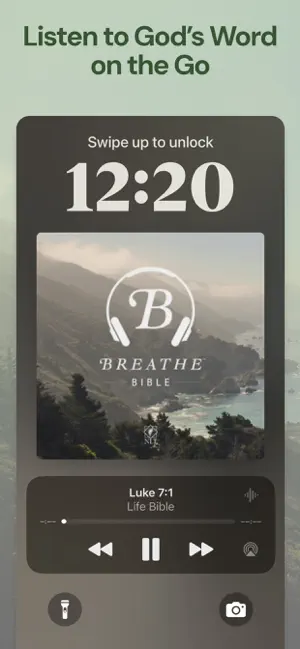 Life Application Study Bible screenshot 7